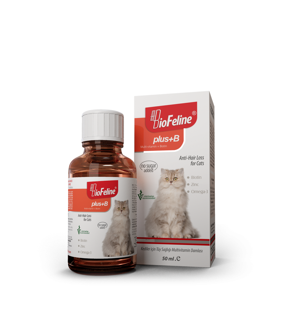 biofeline-kitten-paste-mintipet